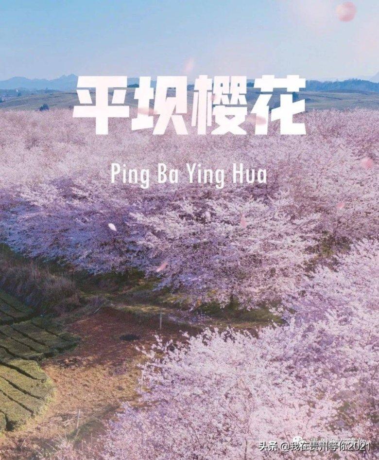 消灭红球大作战